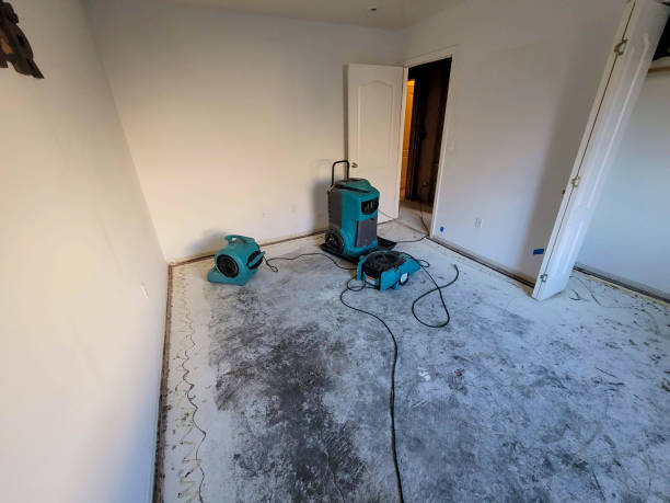 Best Emergency water damage restoration  in Malabar, FL