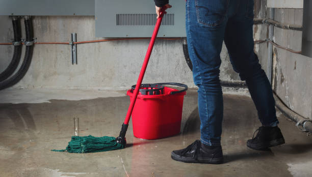Best Water damage restoration cost  in Malabar, FL